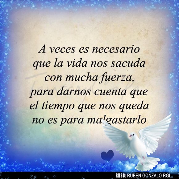 lauraaltamir123